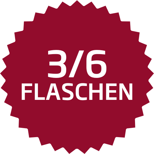 Verpackungen für 3 und 6 Weinflaschen  (DHL / UPS)
