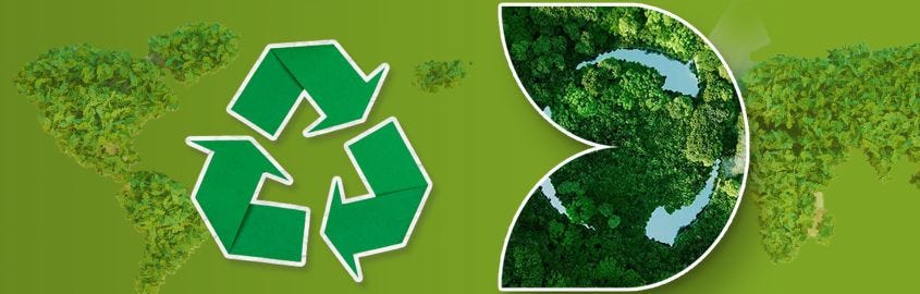 Weltumwelttag: Unser Engagement für Nachhaltigkeit 