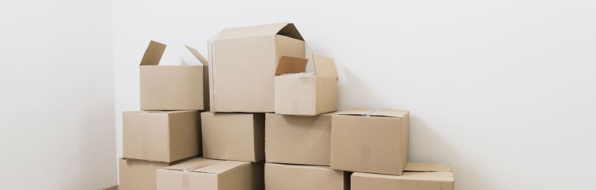 Sind Kartons recycelbar?