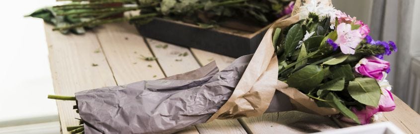 Wie man Pflanzen richtig versendet und welche Arten von Versandschachteln man hierzu verwenden sollte